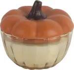 mini_image