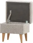 mini_image